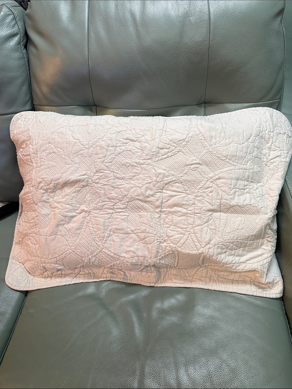 Barbara Berry “Haiku” Quilted Queen Sham